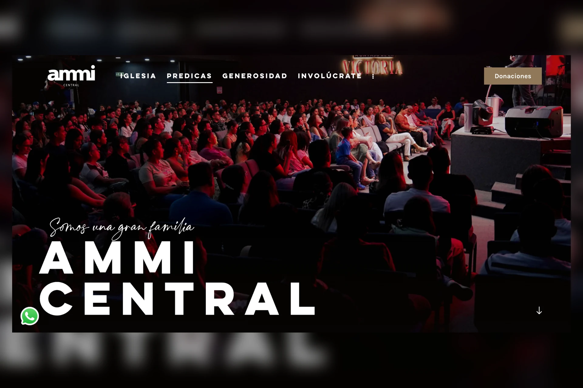 Ammi Central — Diseño y desarrollo web